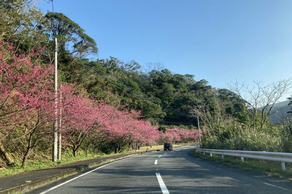 総合流域防災（河川）工事（嘉渡川R2-1工区）Part3